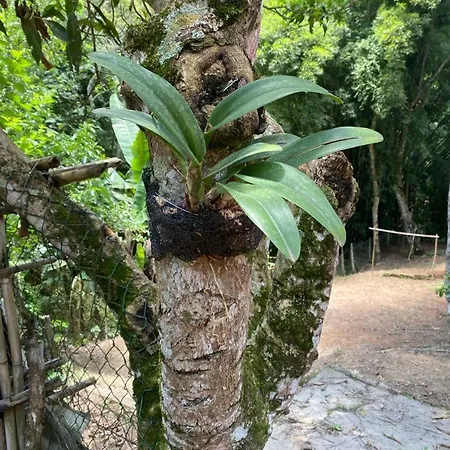 Chacara Paraiso Mairipora Exterior photo
